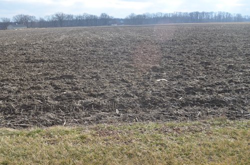 Property photo 12 - East Allen County Land Auction - 40 Acres in 2 Tracts